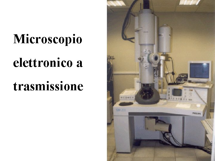 Microscopio elettronico a trasmissione 