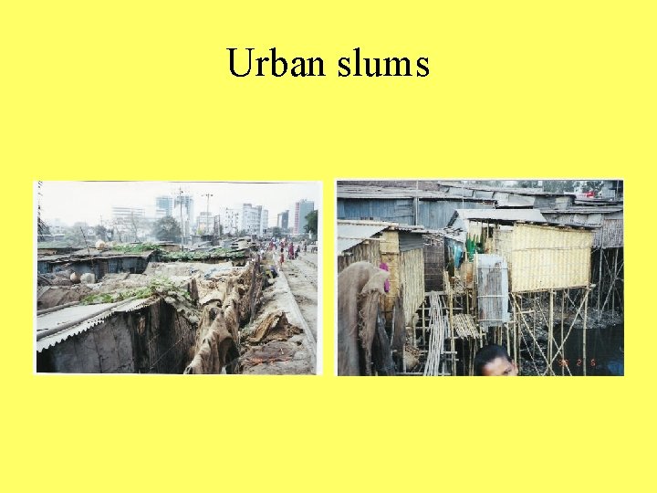 Urban slums 