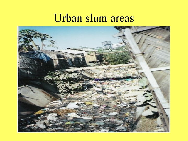 Urban slum areas 