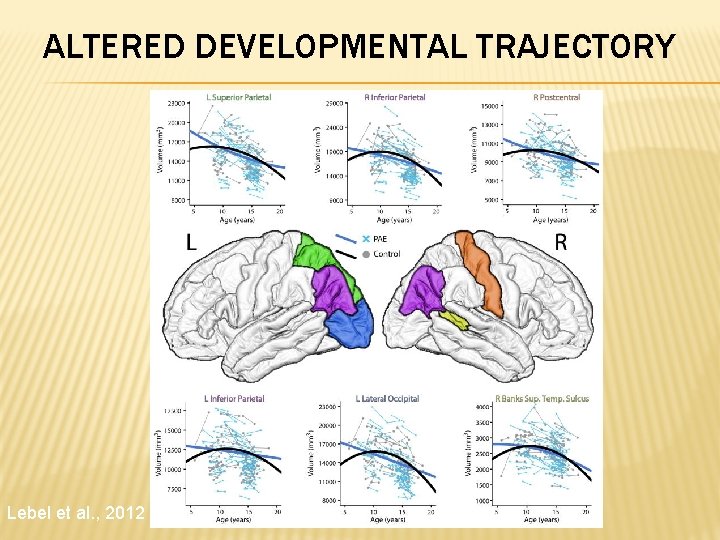 ALTERED DEVELOPMENTAL TRAJECTORY Lebel et al. , 2012 