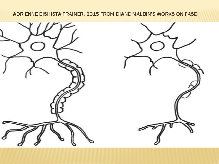ADRIENNE BISHISTA TRAINER, 2015 FROM DIANE MALBIN’S WORKS ON FASD 