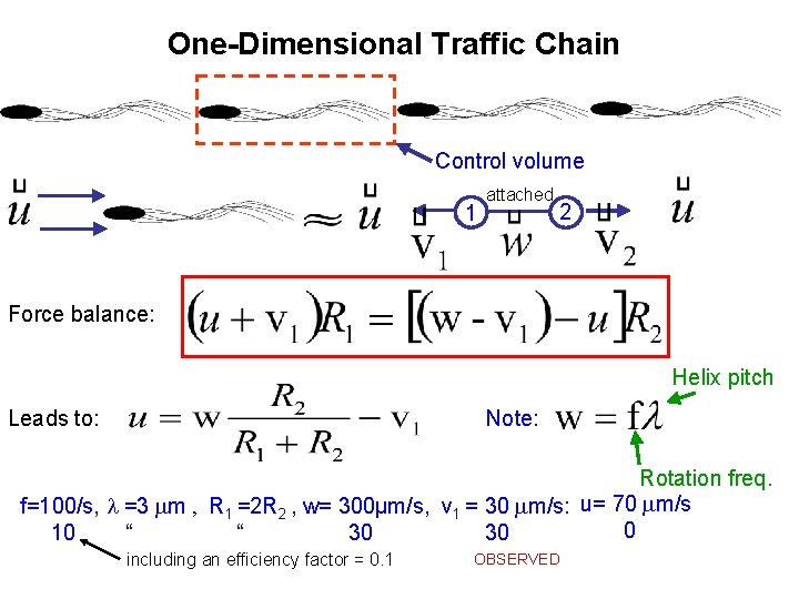 One-Dimensional Traffic Chain Control volume 1 attached 2 Force balance: Helix pitch Note: Leads
