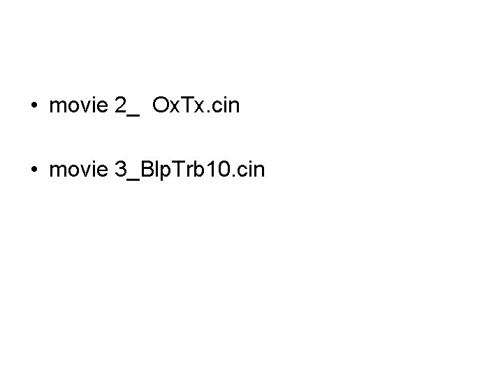  • movie 2_ Ox. Tx. cin • movie 3_Blp. Trb 10. cin 