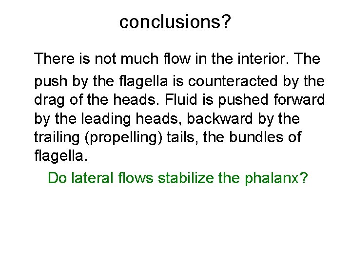 conclusions? There is not much flow in the interior. The push by the flagella
