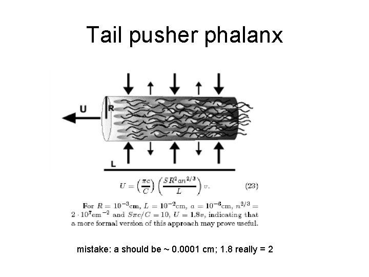 Tail pusher phalanx mistake: a should be ~ 0. 0001 cm; 1. 8 really