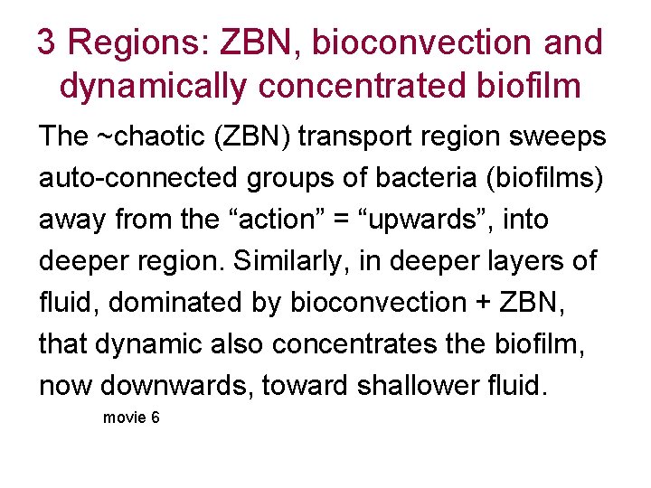 3 Regions: ZBN, bioconvection and dynamically concentrated biofilm The ~chaotic (ZBN) transport region sweeps