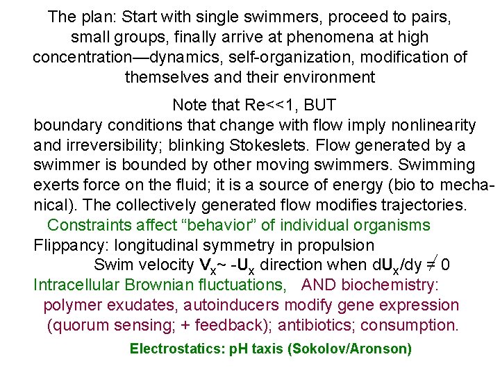 The plan: Start with single swimmers, proceed to pairs, small groups, finally arrive at