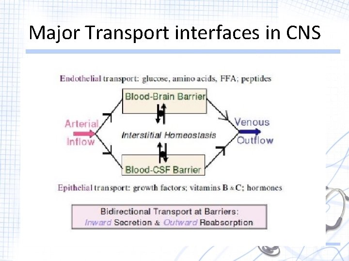 Major Transport interfaces in CNS 