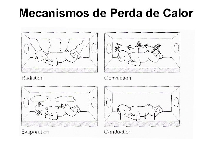 Mecanismos de Perda de Calor 