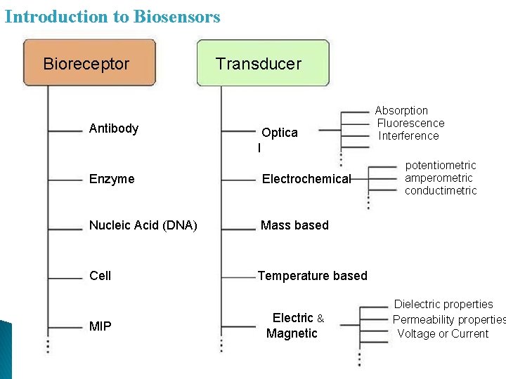 Introduction to Biosensors Bioreceptor Transducer Antibody Optica l Enzyme Electrochemical Nucleic Acid (DNA) Mass Introduction to Biosensors Bioreceptor Transducer Antibody Optica l Enzyme Electrochemical Nucleic Acid (DNA) Mass
