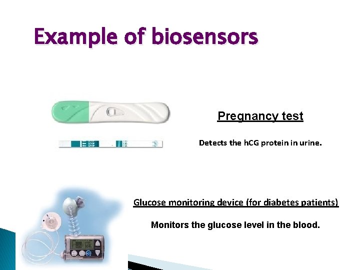 Example of biosensors Pregnancy test Detects the h. CG protein in urine. Glucose monitoring Example of biosensors Pregnancy test Detects the h. CG protein in urine. Glucose monitoring