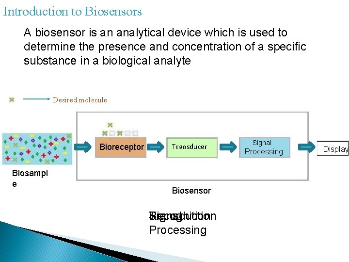 Introduction to Biosensors A biosensor is an analytical device which is used to determine Introduction to Biosensors A biosensor is an analytical device which is used to determine