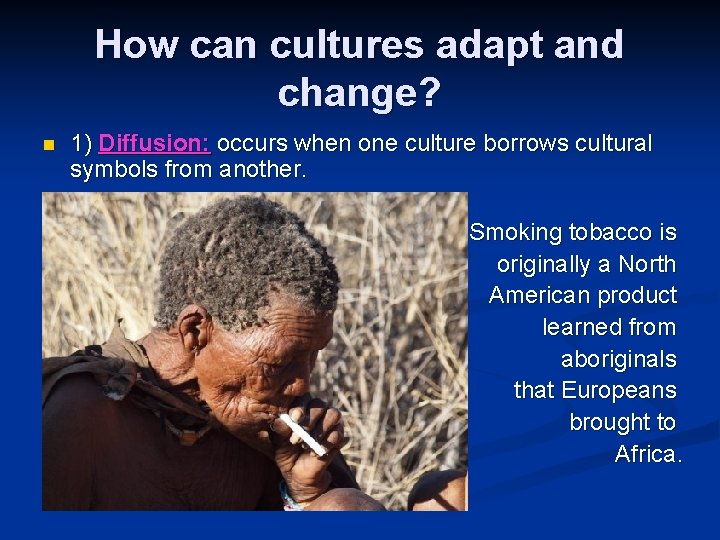 How can cultures adapt and change? n 1) Diffusion: occurs when one culture borrows