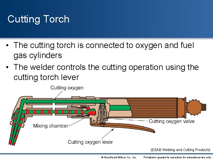 Cutting Torch • The cutting torch is connected to oxygen and fuel gas cylinders