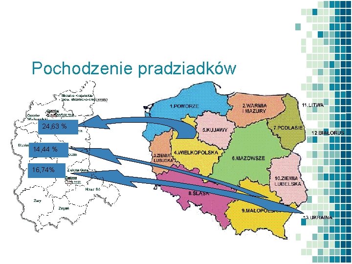 Pochodzenie pradziadków 24, 63 % 14, 44 % 16, 74% 