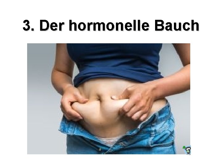 3. Der hormonelle Bauch 