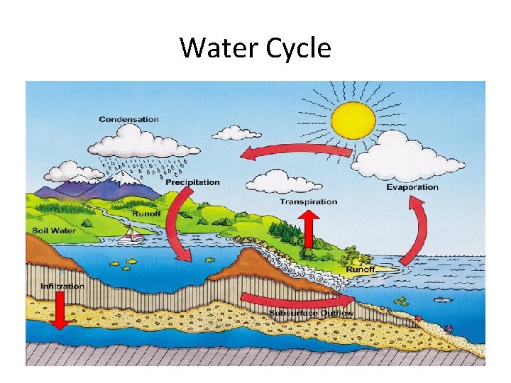 Water Cycle 