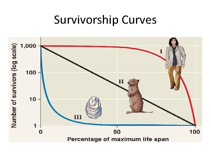 Survivorship Curves 