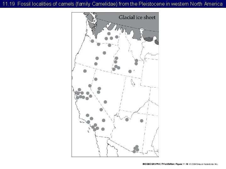 11. 19 Fossil localities of camels (family Camelidae) from the Pleistocene in western North