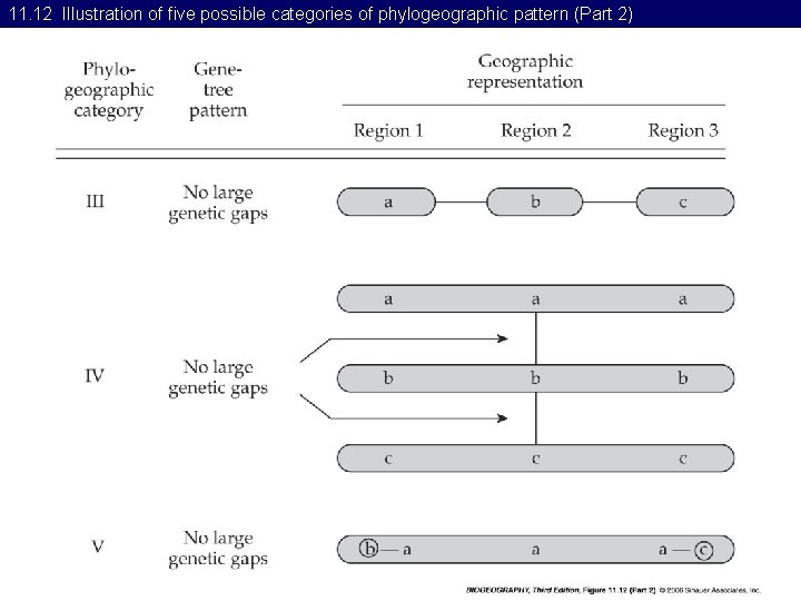 11. 12 Illustration of five possible categories of phylogeographic pattern (Part 2) 