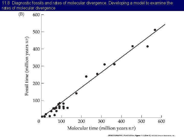 11. 8 Diagnostic fossils and rates of molecular divergence. Developing a model to examine
