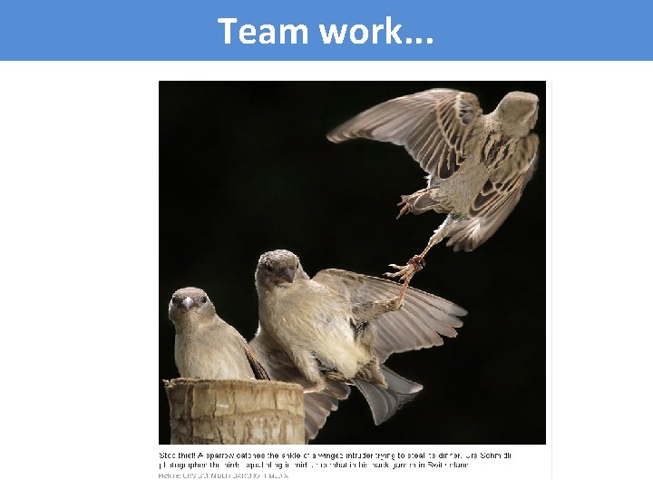 Team work. . . 