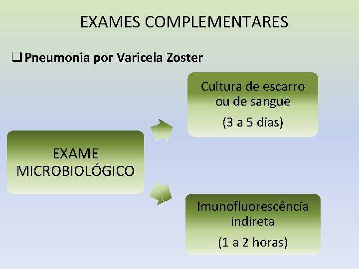 EXAMES COMPLEMENTARES q Pneumonia por Varicela Zoster Cultura de escarro ou de sangue (3