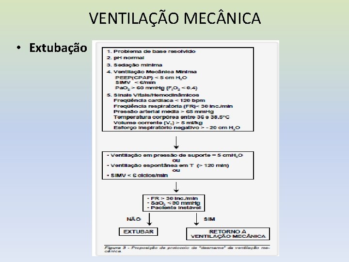 VENTILAÇÃO MEC NICA • Extubação 