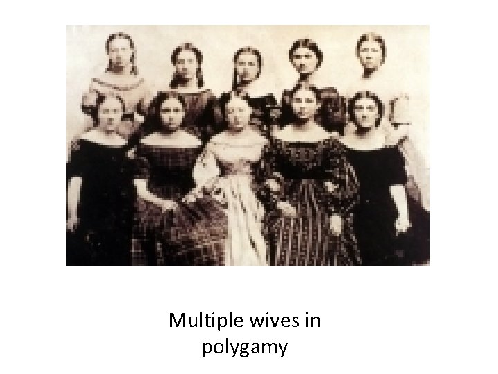 Multiple wives in polygamy 