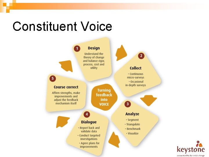Constituent Voice 