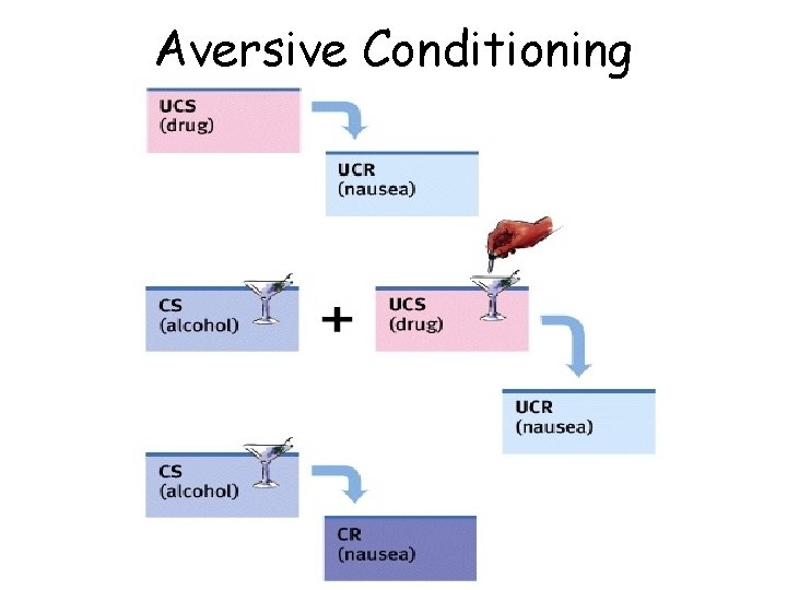 Aversive Conditioning 