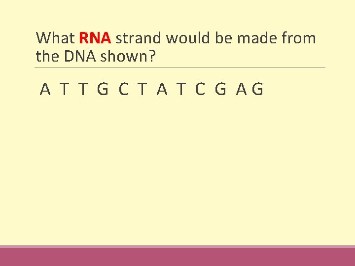 What RNA strand would be made from the DNA shown? A T T G