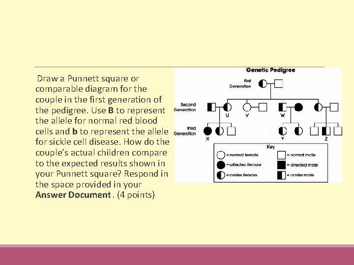  Draw a Punnett square or comparable diagram for the couple in the first