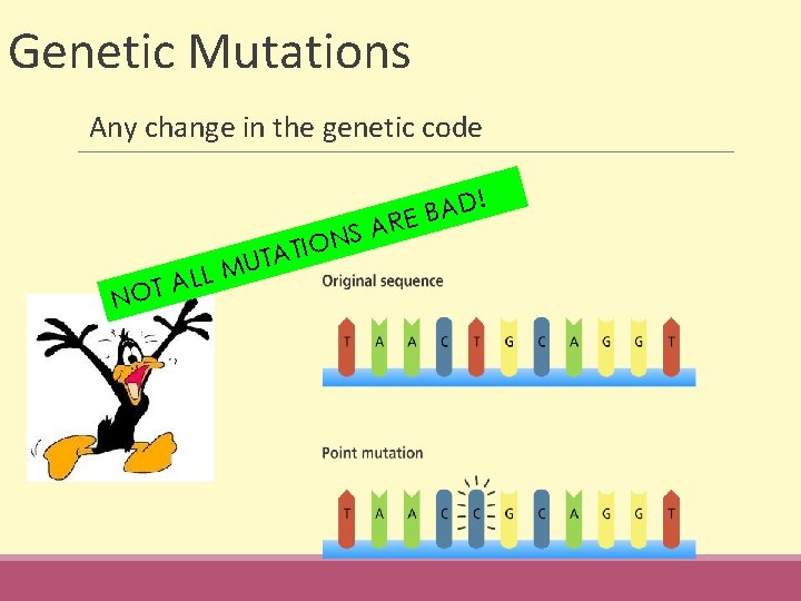 Genetic Mutations Any change in the genetic code R ! D A EB U