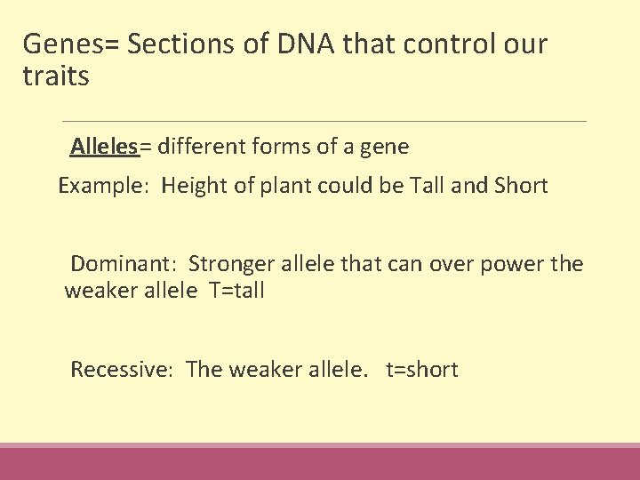 Genes= Sections of DNA that control our traits Alleles= different forms of a gene