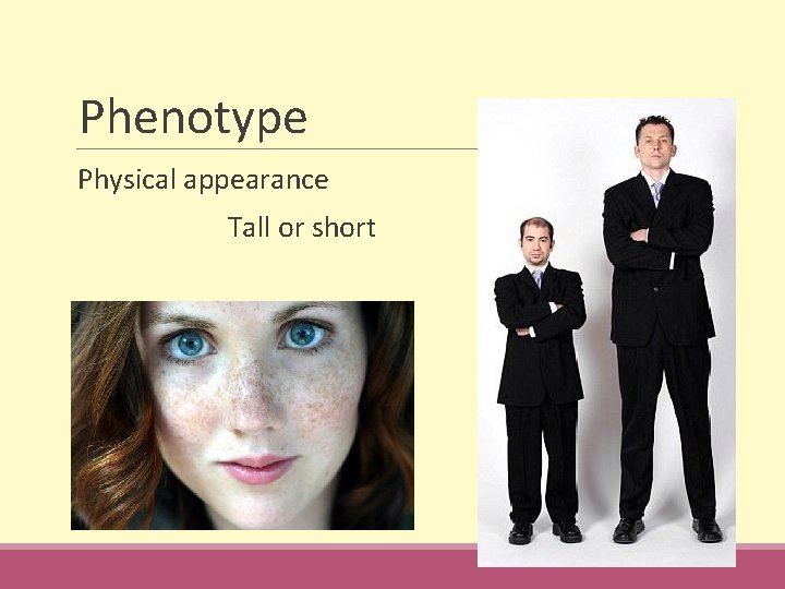 Phenotype Physical appearance Tall or short 