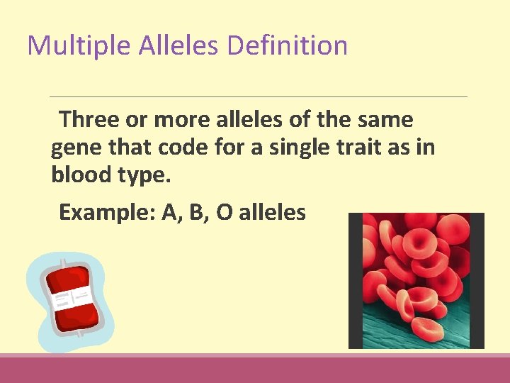 Multiple Alleles Definition Three or more alleles of the same gene that code for