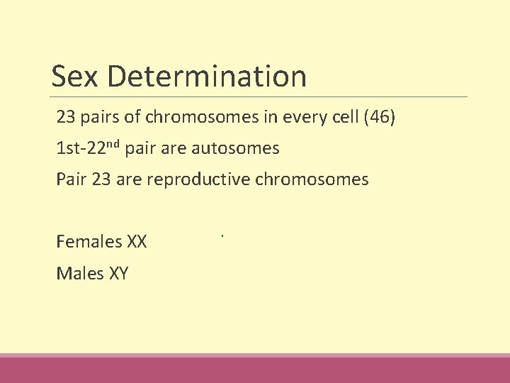 Sex Determination 23 pairs of chromosomes in every cell (46) 1 st-22 nd pair