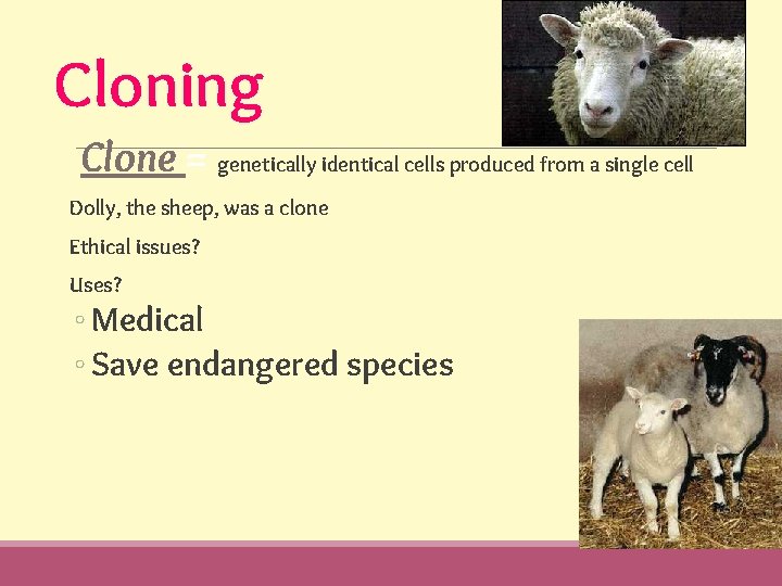 Cloning Clone = genetically identical cells produced from a single cell Dolly, the sheep,