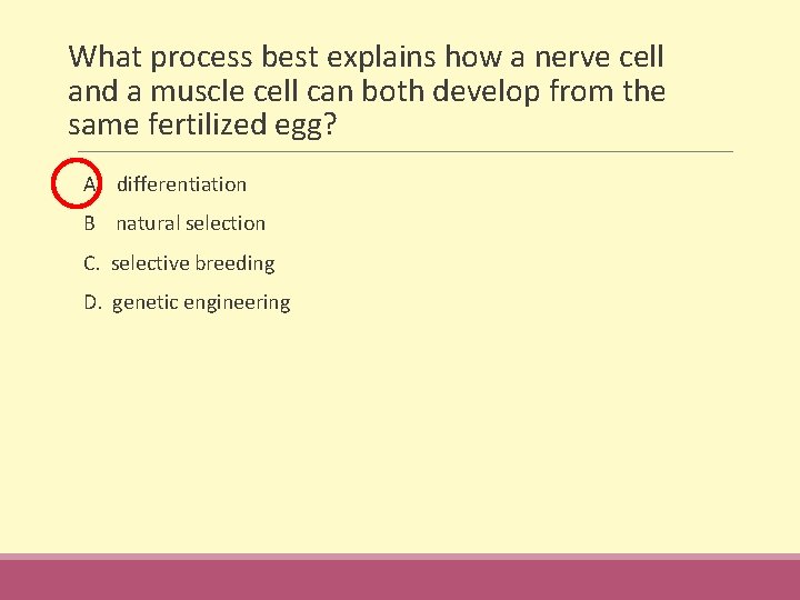 What process best explains how a nerve cell and a muscle cell can both