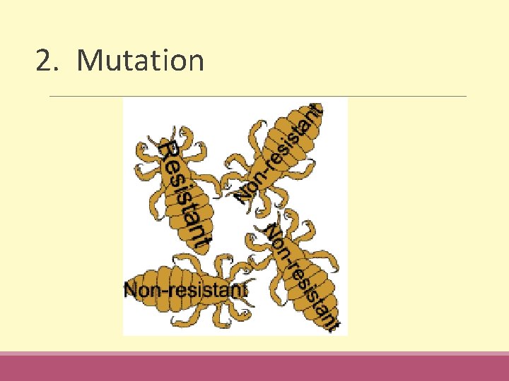 2. Mutation 