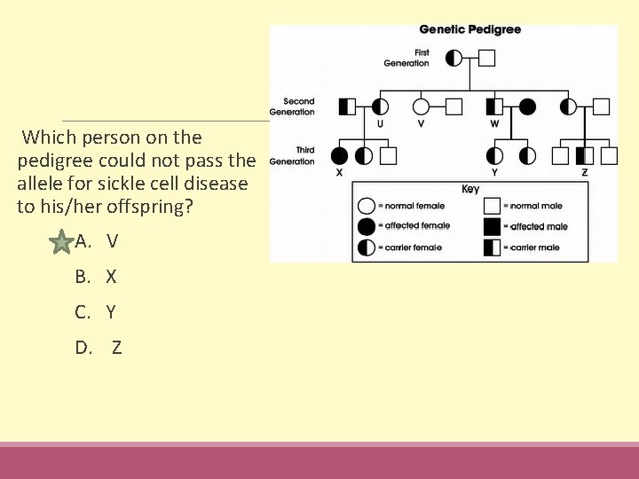  Which person on the pedigree could not pass the allele for sickle cell