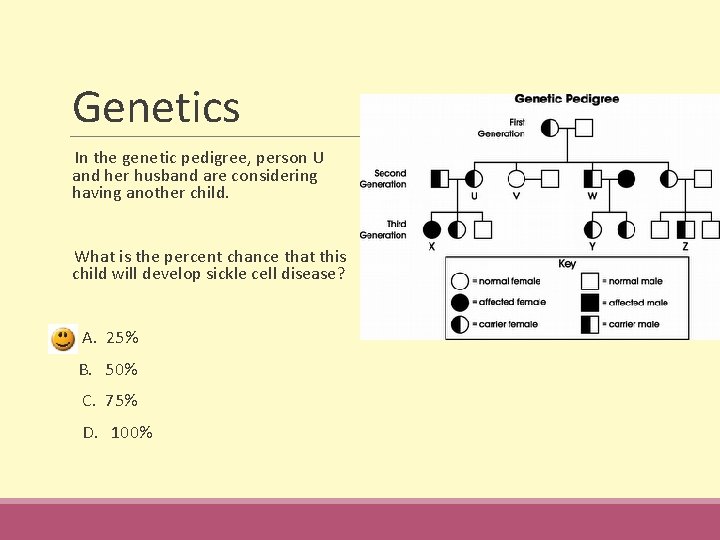 Genetics In the genetic pedigree, person U and her husband are considering having another