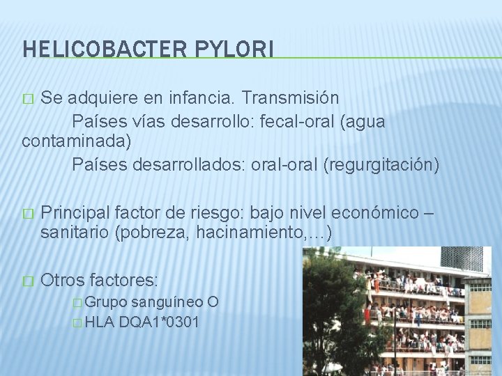 HELICOBACTER PYLORI Se adquiere en infancia. Transmisión Países vías desarrollo: fecal-oral (agua contaminada) Países