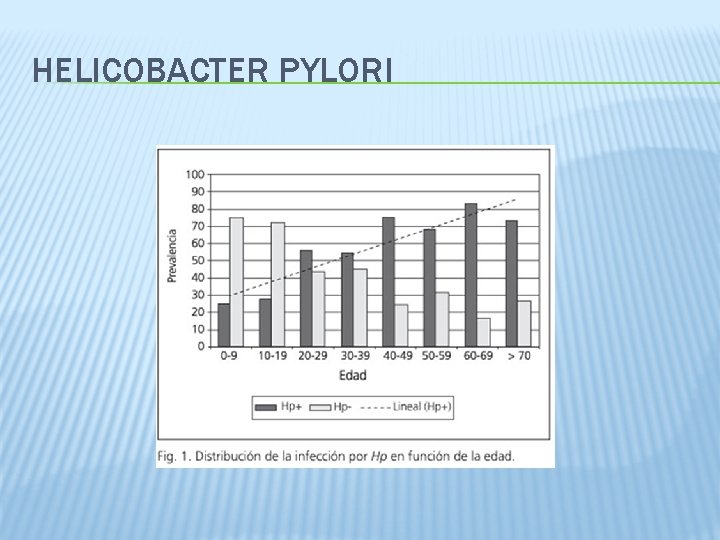 HELICOBACTER PYLORI 