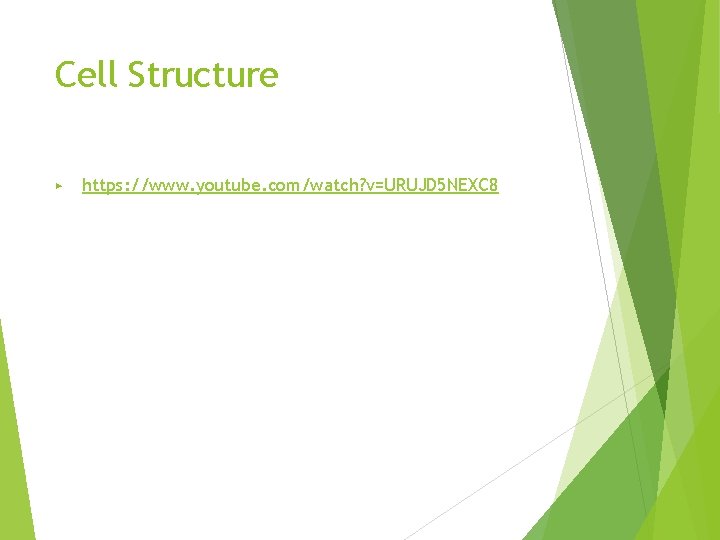 Cell Structure ▶ https: //www. youtube. com/watch? v=URUJD 5 NEXC 8 