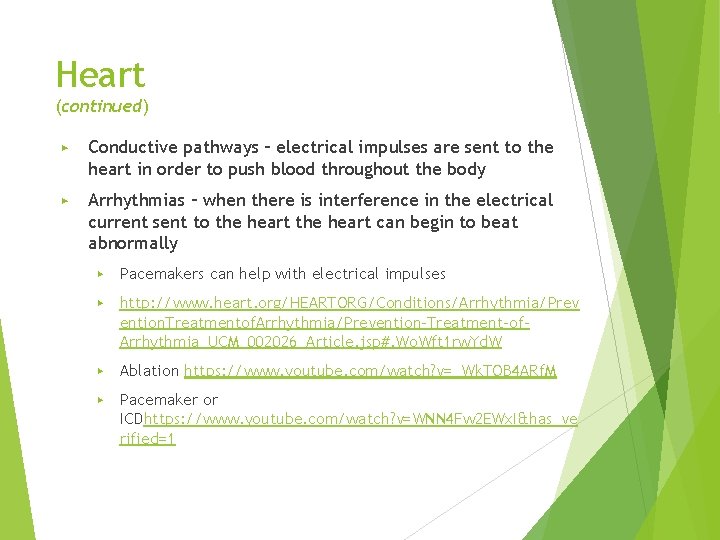 Heart (continued) ▶ Conductive pathways – electrical impulses are sent to the heart in