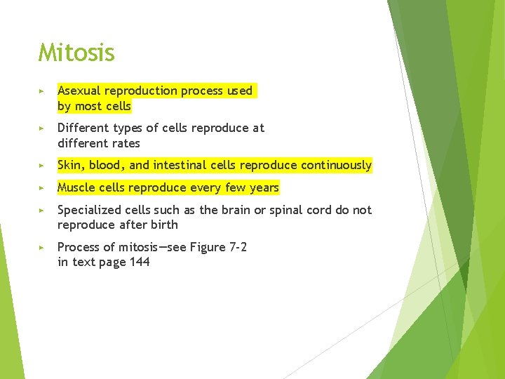 Mitosis ▶ Asexual reproduction process used by most cells ▶ Different types of cells