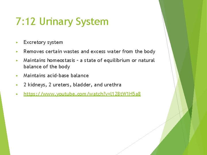 7: 12 Urinary System ▶ Excretory system ▶ Removes certain wastes and excess water