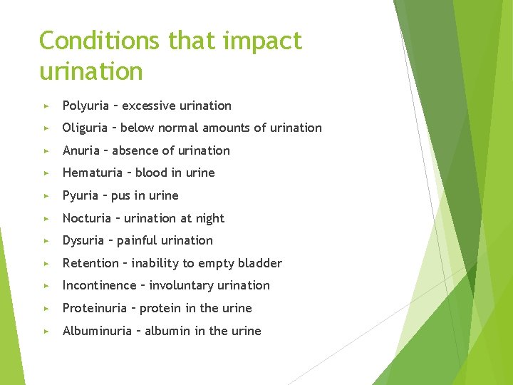 Conditions that impact urination ▶ Polyuria – excessive urination ▶ Oliguria – below normal